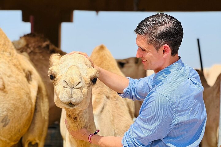 8 Hours Al Ain City Tour without lunch - Photo 1 of 18